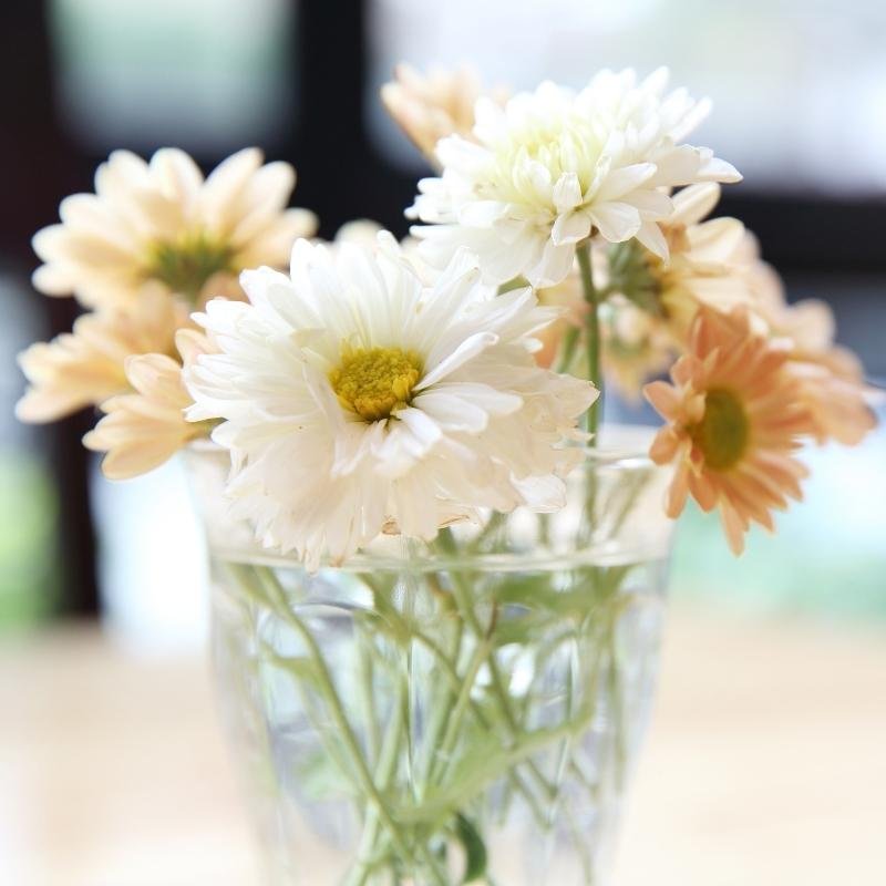 how to make fresh cut flowers live longer