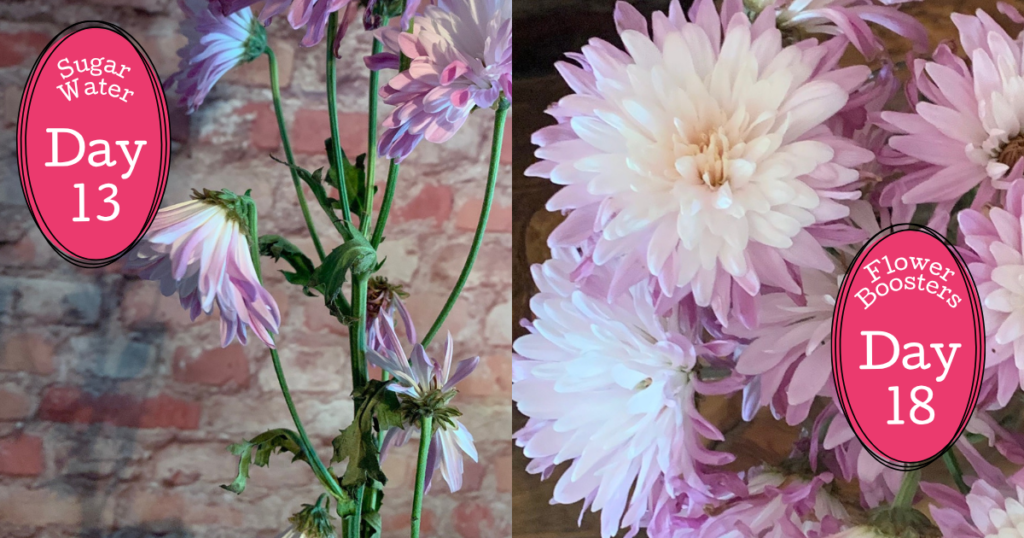 flower preserver