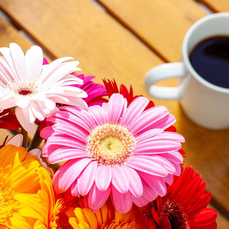 Wondering How Long Flowers Last? 5 Ways They'll Last Longer