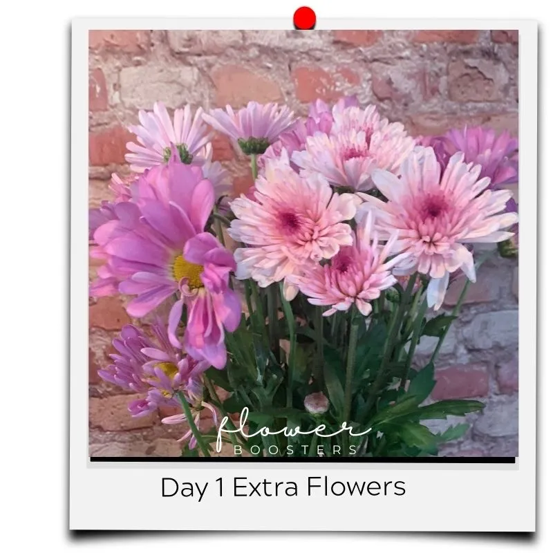 flower boosters