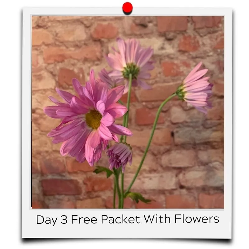 flower food packets