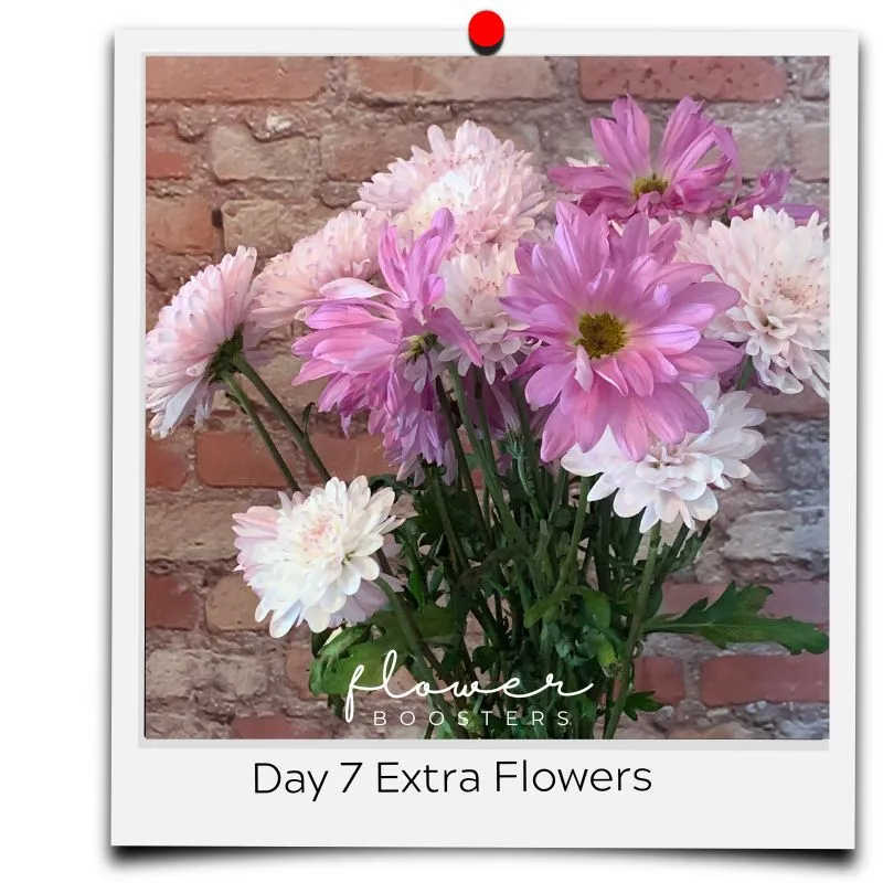 flower boosters