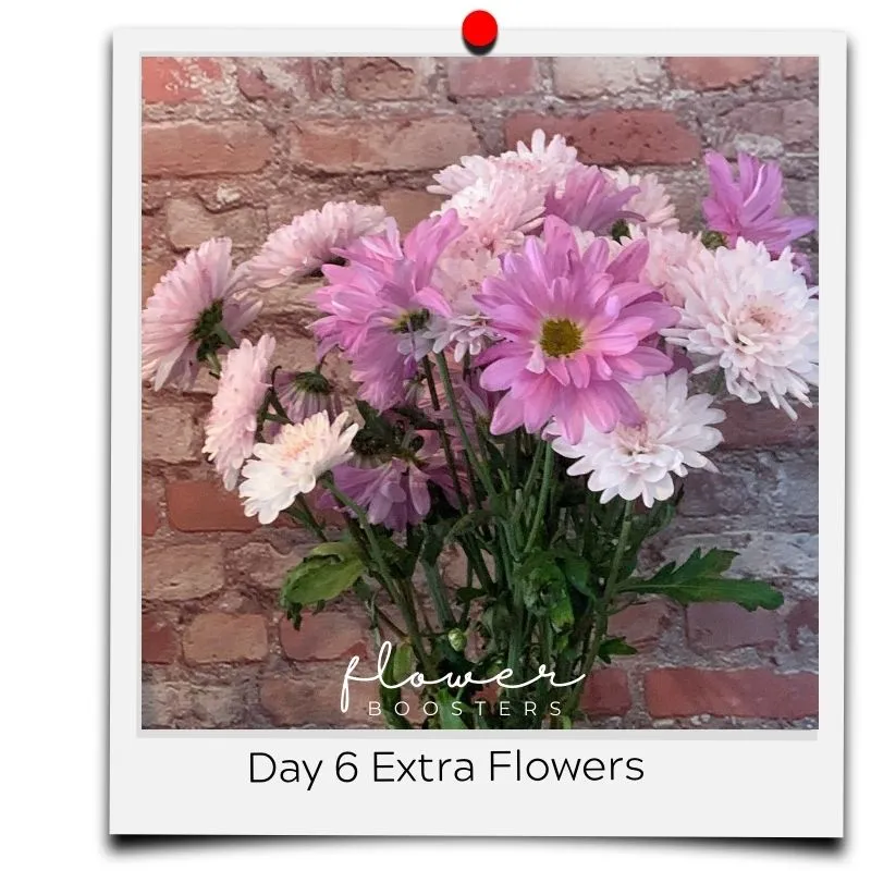 flower boosters