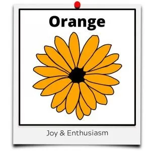 flower meaning orange joy