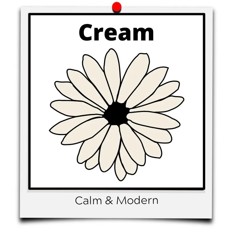 flower meaning cream calm