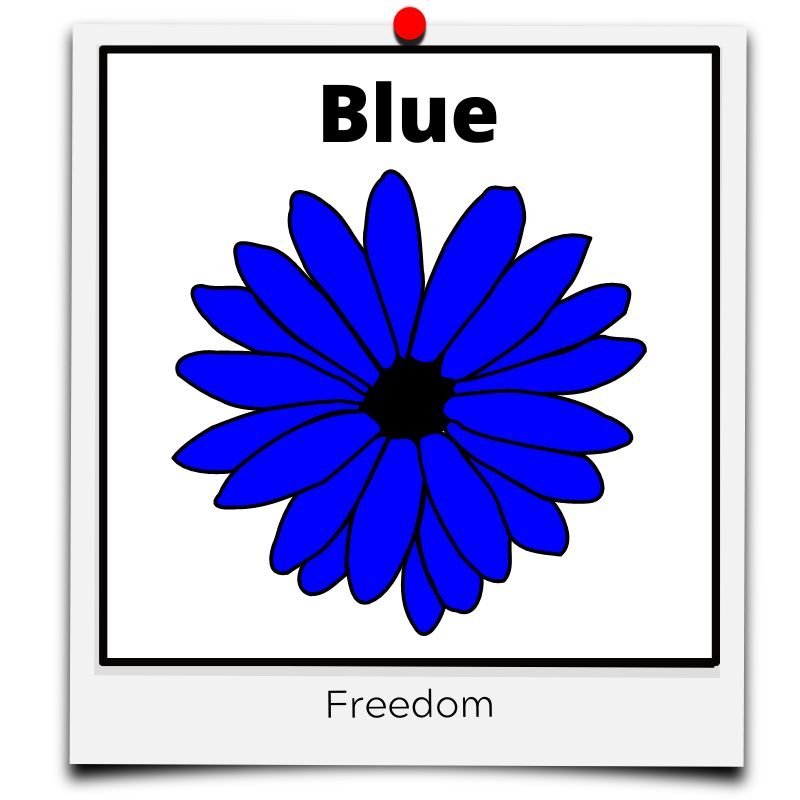 flower meaning blue freedom