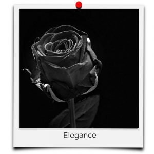 flower meaning black elegance