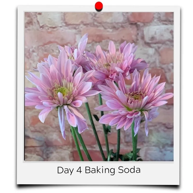 flower food baking soda