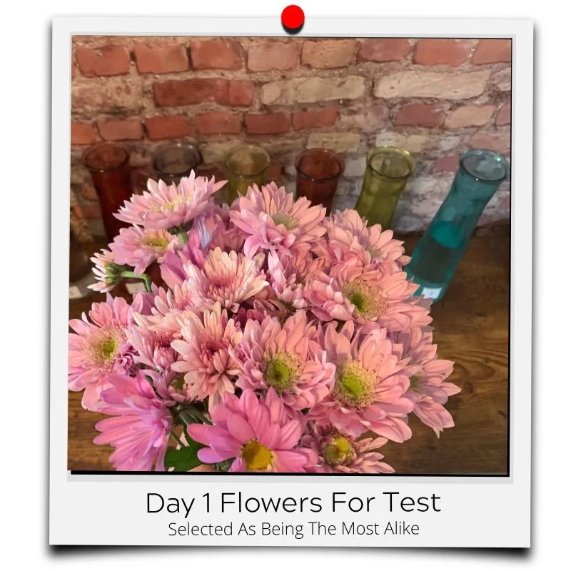 flower food recipes