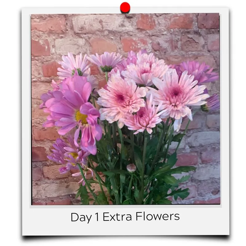 3 DIY Cut Flower Food Proven Fails (In Pictures)