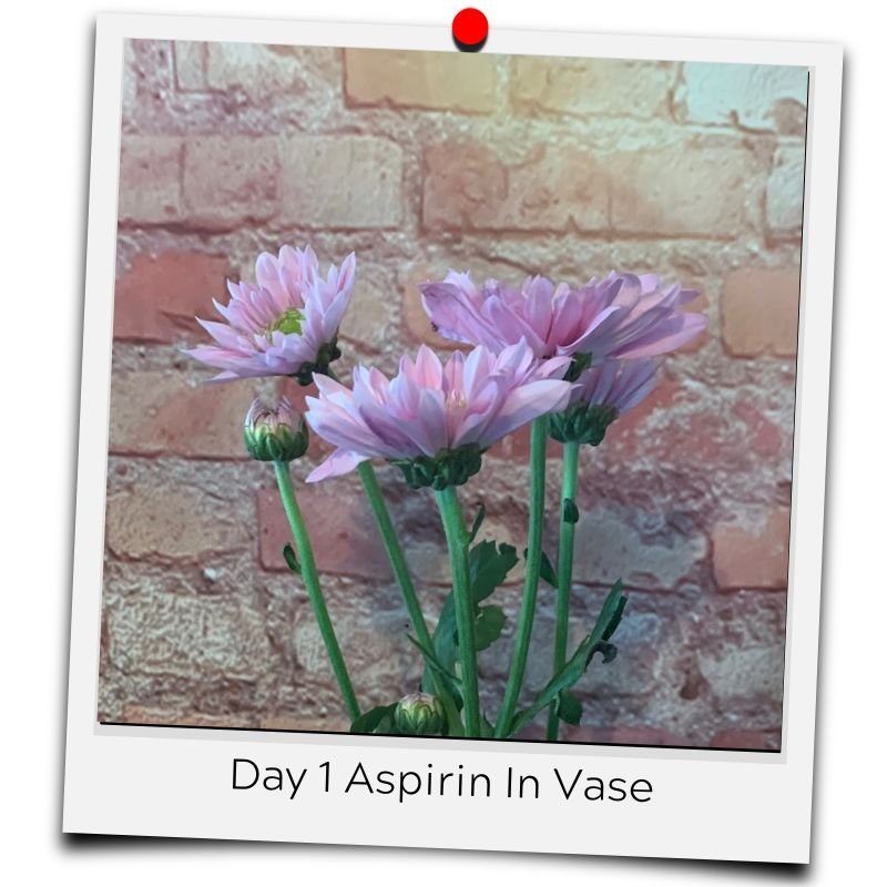 flower food aspirin