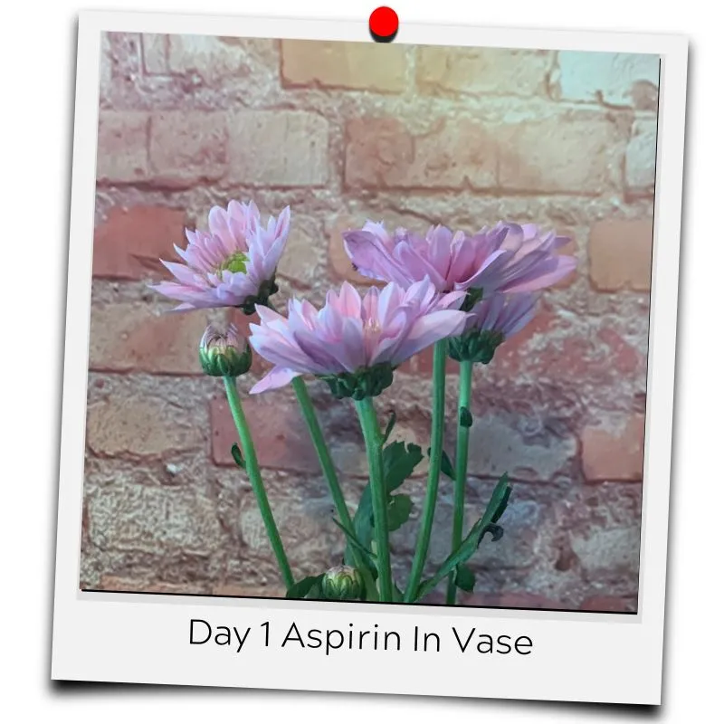 flower food aspirin
