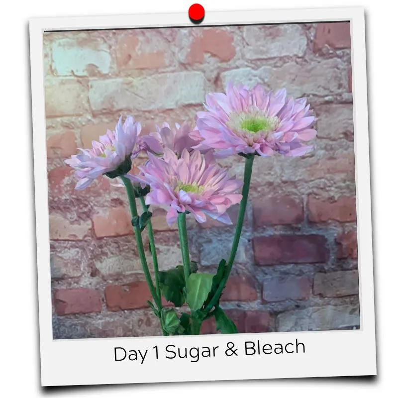 bleach and sugar for flowers