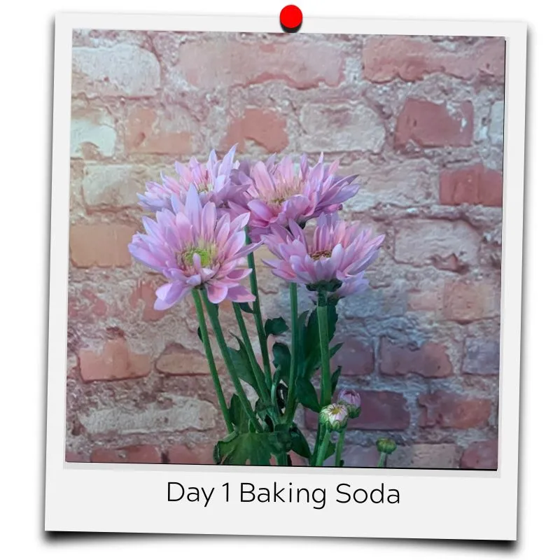 flower food baking soda