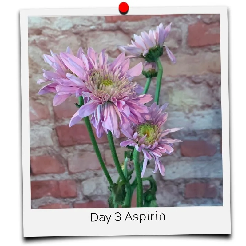 flower food aspirin