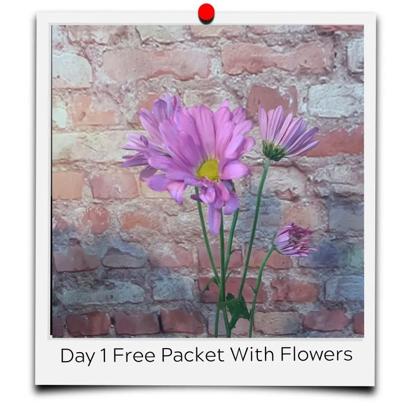 flower food packets