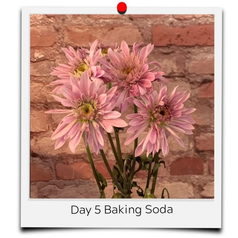 flower food baking soda
