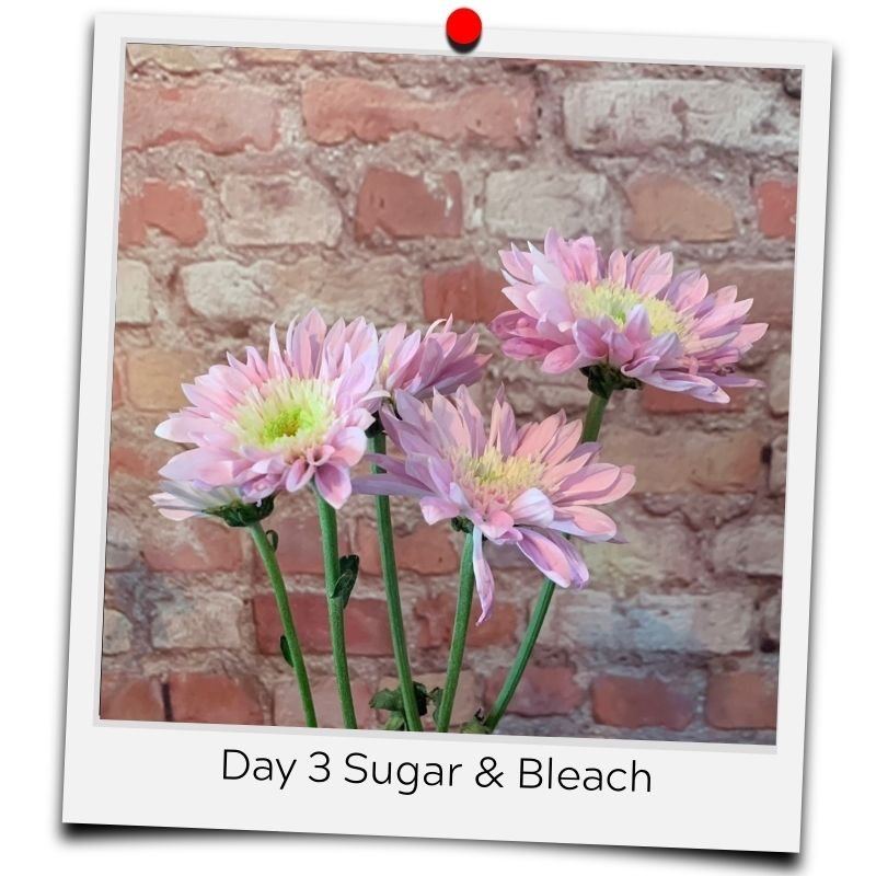 bleach and sugar for flowers