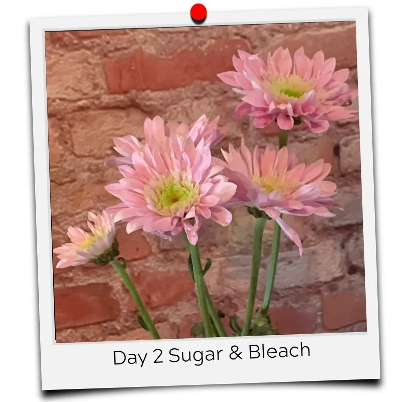 bleach and sugar for flowers