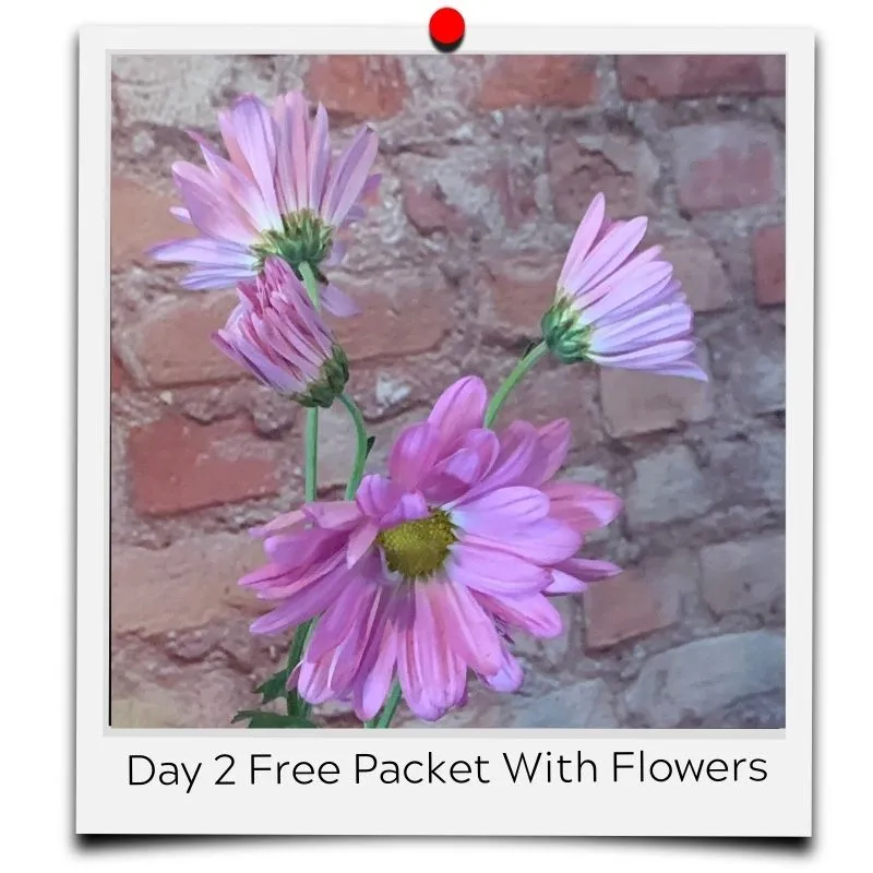flower food packets