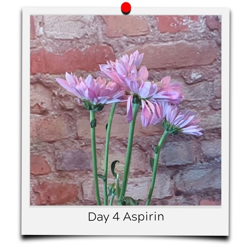 aspirin in flower water