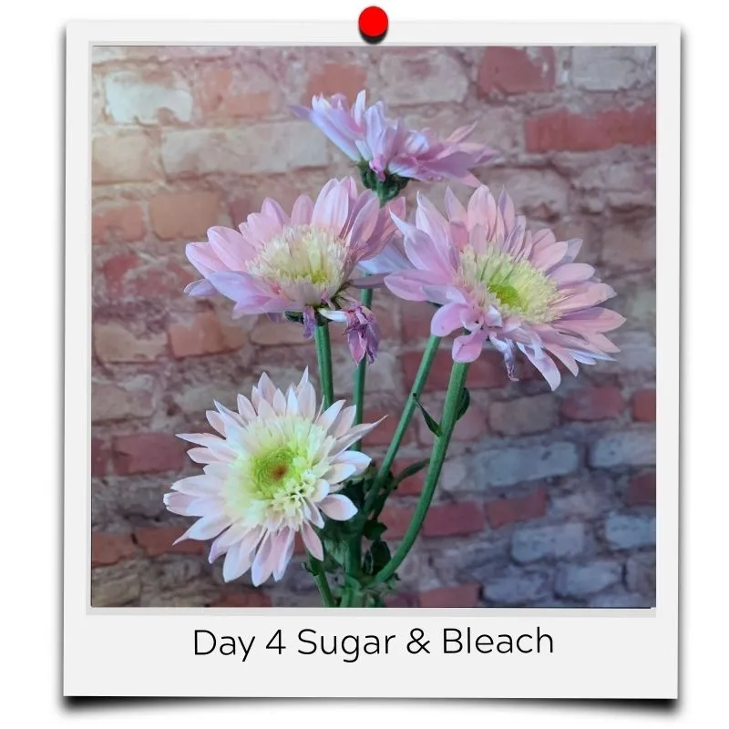 bleach and sugar for flowers