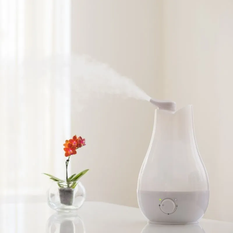 Humidifiers and Cut Flowers