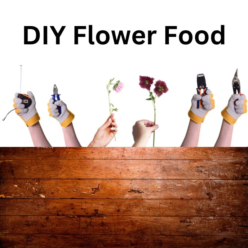 web page pictures follow social media formats – 2022-12-22T155508.749 diy food for cut flowers