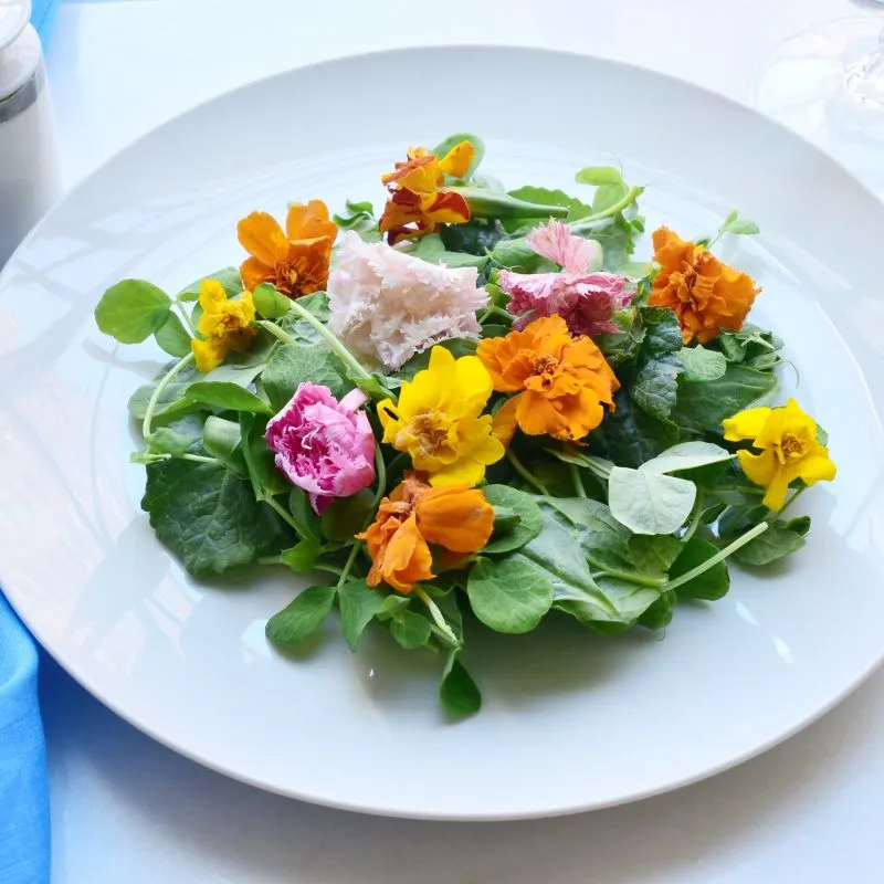 edible flowers for salads
