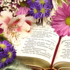 flowers in the Bible