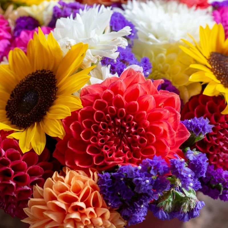 how to choose better cut flowers 