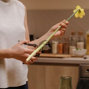 cutting flower stems