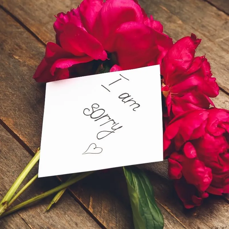 apology flowers