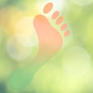 carbon footprint