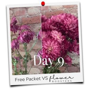 flower food for cut flowers