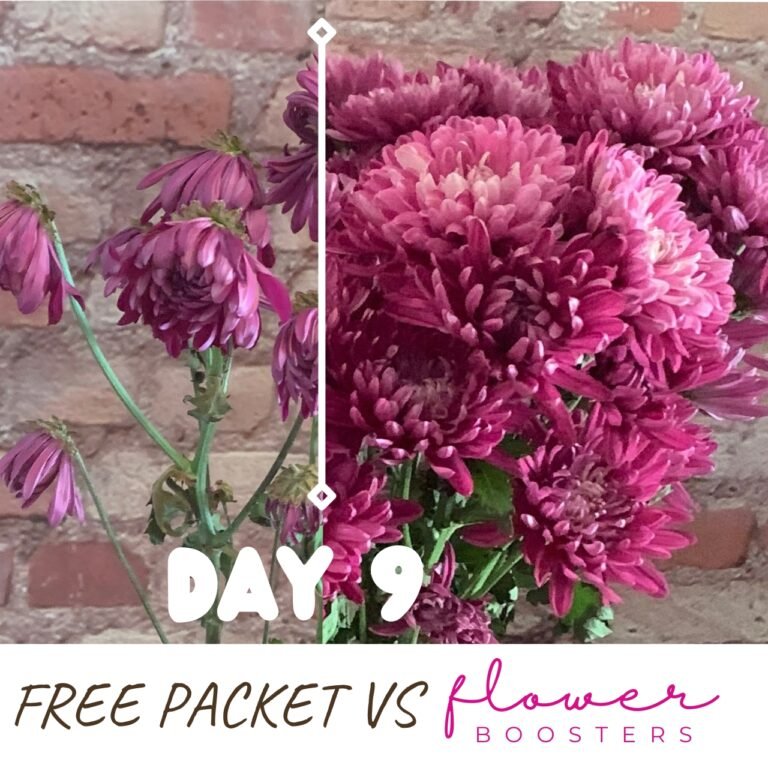 FREE FLOWER FOOD PACKETS