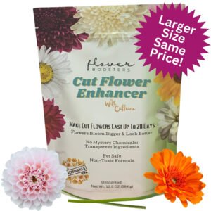 keep flowers fresh in a vase