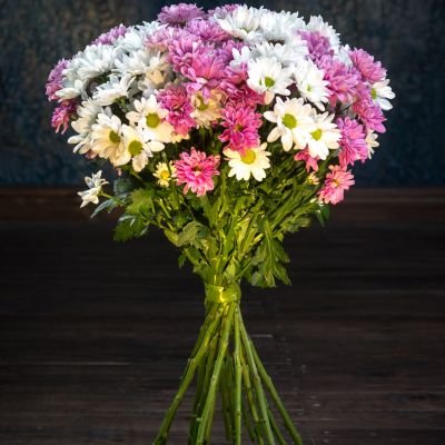 Long-Lasting Cut Flowers: 7 Varieties That Stay Fresh