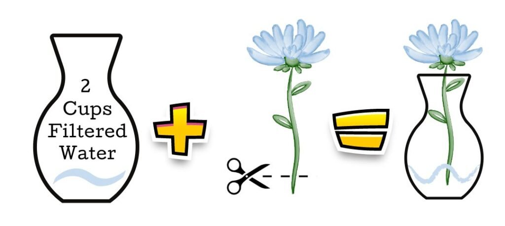 cut flower water requirements