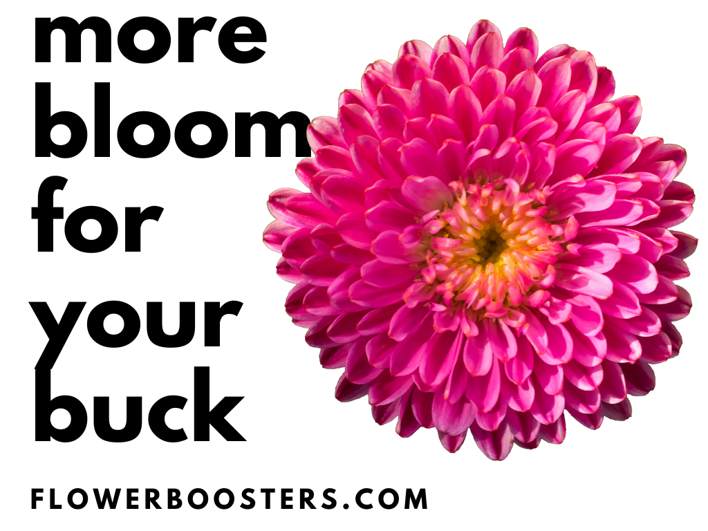 flower personality