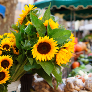 flower quiz local markets