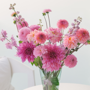 FLOWER QUIZ Chrysanthemum 