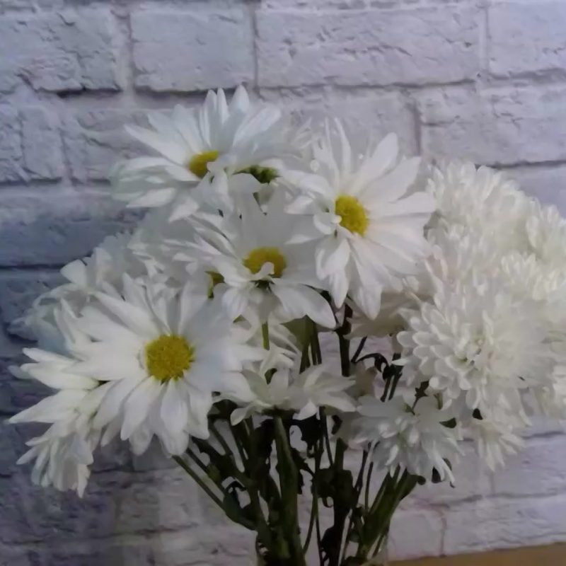 flower boosters day 20