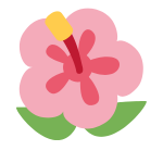 Floral Food for Cut Flowers