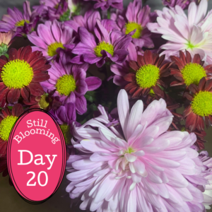 How to Make Flowers Last Longer