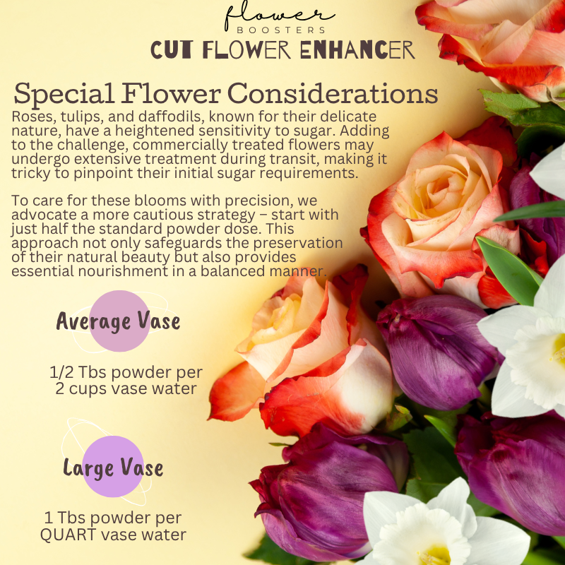 How to Make roses daffodils and peonies Last Longer