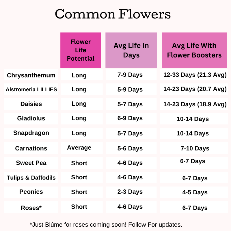 How to Make Flowers Last Longer