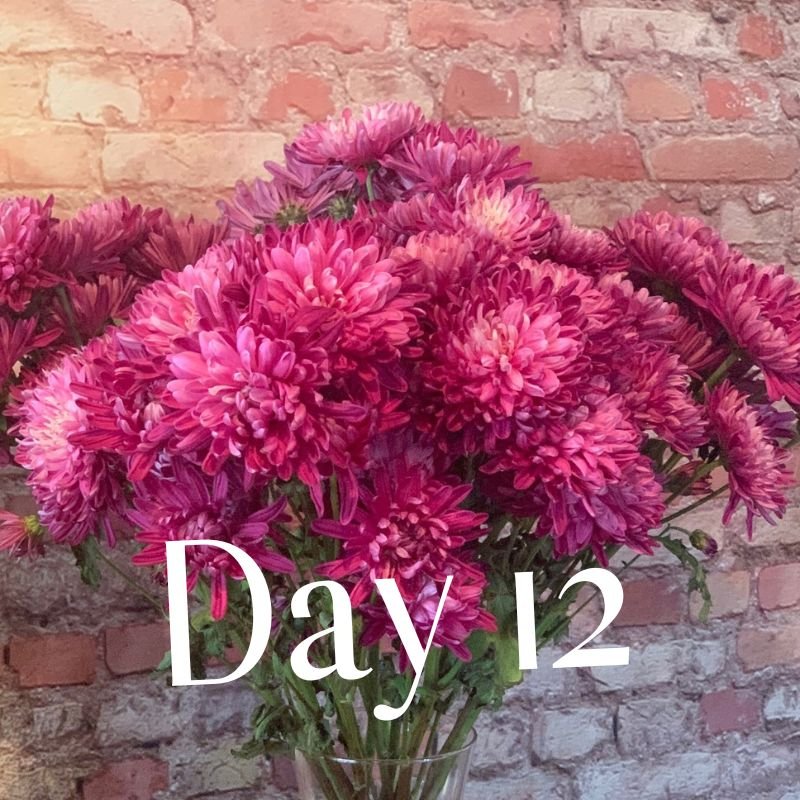 Day 12 flowers showing extended freshness using Flower Boosters