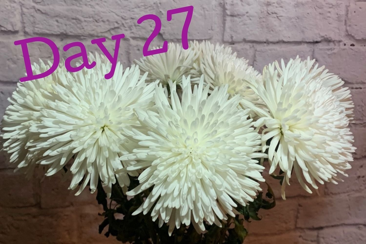 Day 27 flowers using Flower Boosters - flowers still holding shape