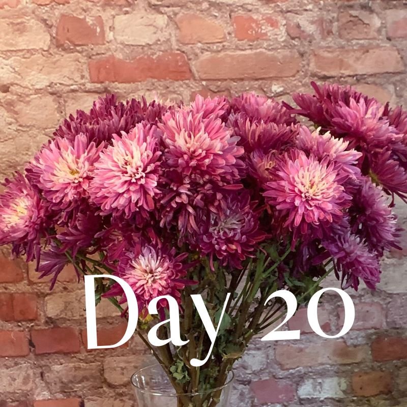 Day 20 bouquet demonstrating Flower Boosters long-lasting results